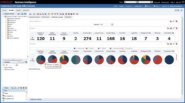 OTBI Sample Dashboards - 2. Tips and Tricks on How the Data is Displayed
