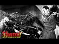 Cult horror review  them 1954