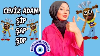 “ CEVİZ ADAM ŞİP ŞAP ŞOP “ Eğlenceli Eğitici Çocuk Şarkısı || Çocuklar İçin Parmak Oyunu - Tekerleme