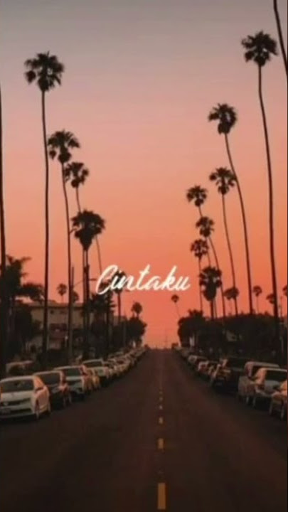 story wa ojo nesu nesu #short #feedshorts #story #storywa #shorts