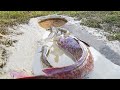 Amazing Hole Fish Trap- Smart Boy Build Fish Trap By Muddy soil- Get A Lot of Fish 100%