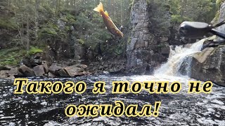 Решил забросить под водопад в глуши…