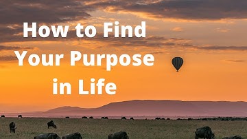How to Find Your Purpose in Life? David Hoffmeister, A Course in Miracles ACIM ✨🤩