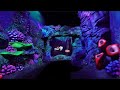 Montanha Russa do Nemo - Um Pouco Dessa Atração #shortsyoutube #shortsvideo #shorts #short