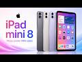 Apple's Ultimate Portable Device: iPad Mini 8 First Impressions?