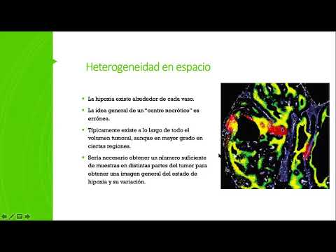 Vídeo: Resistencia No Autónoma Celular Basada En Microambiente Tumoral Al Tratamiento Antineoplásico