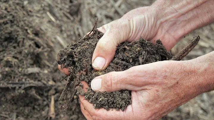 Soil Champion