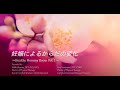 5 3 　Healthy Mommy Room　Vol 1　〜妊娠による体の変化　骨盤とソケイ部の痛みについて〜