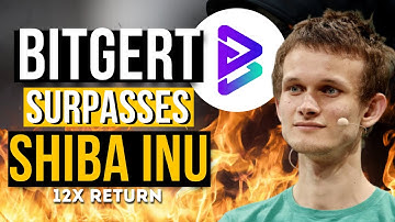 BITGERT Killed Shiba inu! Bitgert