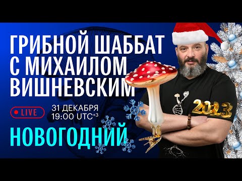 Грибной шаббат с Михаилом Вишневским. НОВОГОДНИЙ!!!