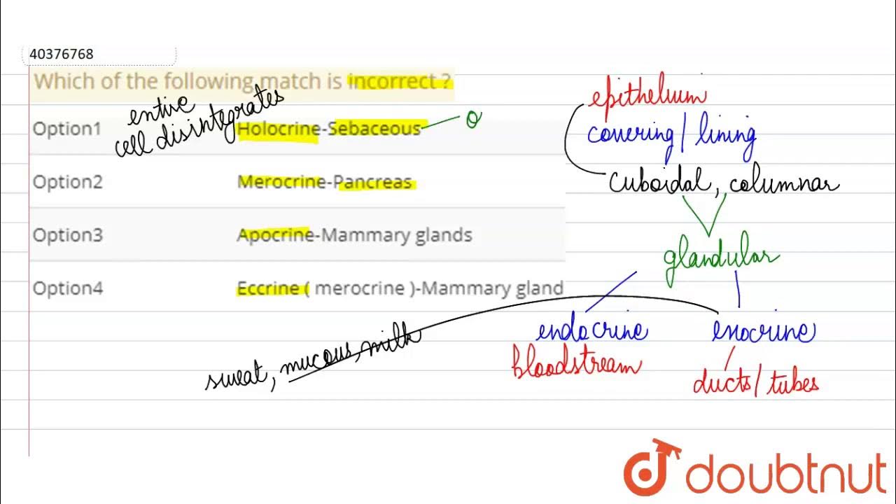 Which Of The Following Is An Incorrect Match Which of the following match is incorrect ? - YouTube