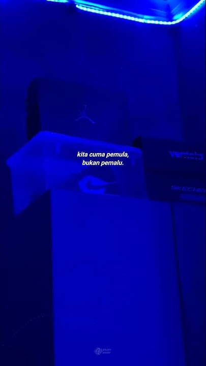 STORY WA 30 DETIK TERBARU || QUOTES DJ KEREN 30 DETIK || STORY WATSHAPP || DJ VIRAL TIKTOK 🎶