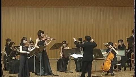 Georg Philipp Telemann - Concerto for 2Violins in A-major TWV52:A2 / I. Vivace