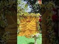 ✨ Haldi Setup Decor Goals 💛 | Shaadi Vibes On Point #shortsfeed #decoration #haldidecor #viral