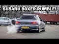 Best of Subaru Impreza boxer sounds compilation! (2019)