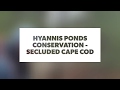 Hyannis ponds conservation  secluded cape cod