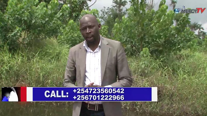 IMPARTATION OF THE SONS FROM DIFFERENT COUNTRIES