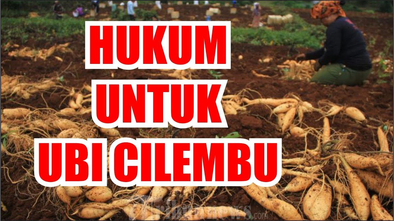 UBI CILEMBU AJA DILINDUNGI APALAGI WARGA JAWA BARAT 