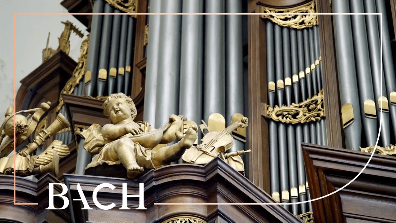 Bach - Christ, unser Herr, zum Jordan kam BWV 684 - Smits | Netherlands Bach Society