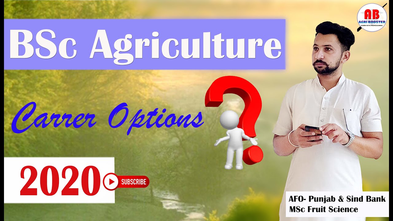 CAREER AFTER BSC AGRICULTURE 2020 I MSC OR JOB I BSC AGRI JOBS I HINDI ...