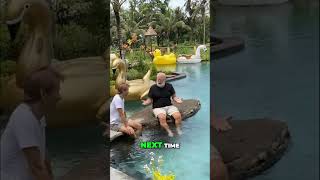 Amazing Journey: Exploring the Migration Route #shorts