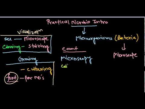 Microbiology Practical Introduction Lab Culture Media Culture Techniques