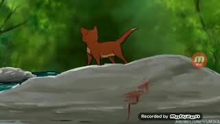 Коты воители - Фарс (читайте описание) Коты воители - Фарс (читайте описание)
