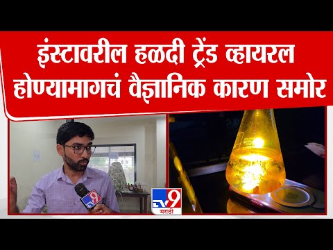 Instagram Viral Turmeric Trend | इंस्टावरील हळदी ट्रेंड व्हायरल होण्यामागचं वैज्ञानिक कारण समोर