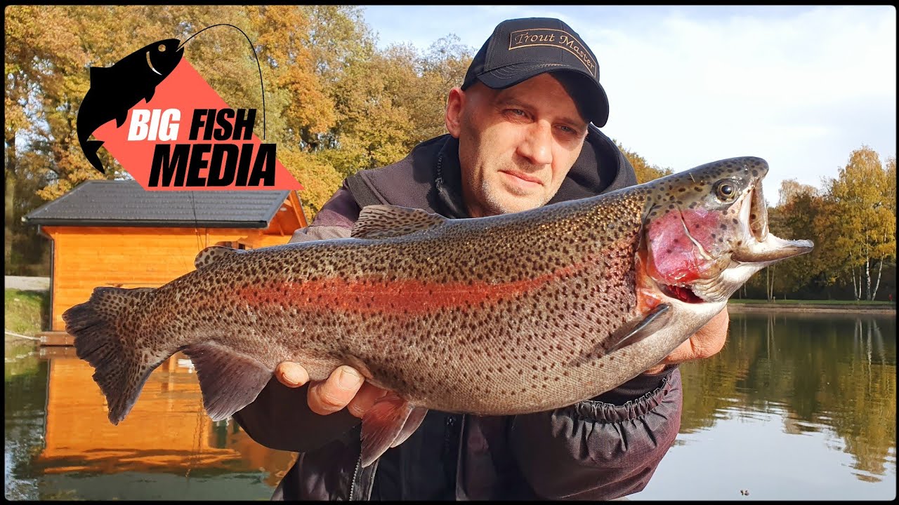 Angeln am Forellensee: Fische suchen, finden und fangen - YouTube