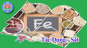 Tác Dụng Của Sắt Đối Với Sức Khỏe Chủ Động Con Người | Hinedu