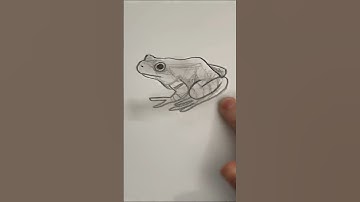 Draw a frog 🐸 Easy drawing lesson for beginners on how to draw a frog. #drawinglesson #howtodraw