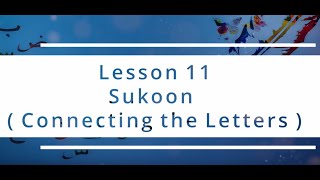 Lesson 11 Learning the Qur'an (Hafiz Muhammed Sezgin)