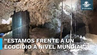 Pilotes del Tren Maya afectan dos cavernas; expertos señalan que se trata de un ecocidio