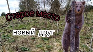 ДОБИВАЮ НЕТРОНУТОЕ МЕСТО, СТХ3030