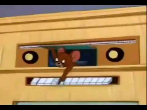 مهرجان عود البنات عالى عود البطل ملفوف بشكل تاني حسن شاكوش عمرو كمال 2020 توزيع اسلام ساسو