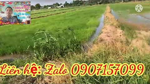 #158 ĐC ấp xóm rẫy xã kiểm phước, huyện gò Công Đông, DT 4000, giá bán 1ty80tr hết đất