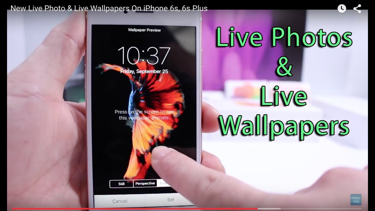 New Live Photo Live Wallpapers On IPhone 6s 6s Plus YouTube