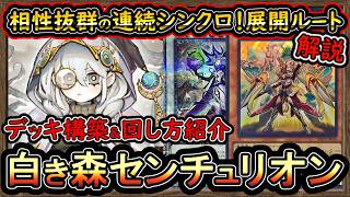 白き森センチュリオン】基本展開ルート紹介！相性抜群で質の高い妨害で