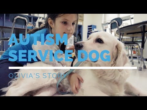autism-service-dog-feature:-olivia