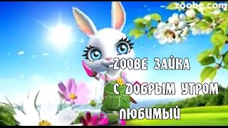 Zoobe Зайка,  С Добрым Утром Любимый!