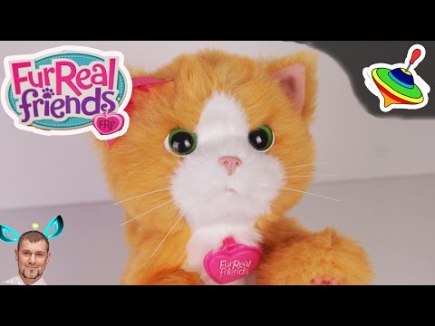 Игривый котенок Дейзи Furreal Friends Daisy