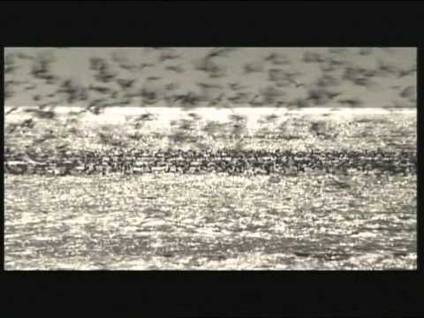 Gigi Gegelashvili - კარუსელი