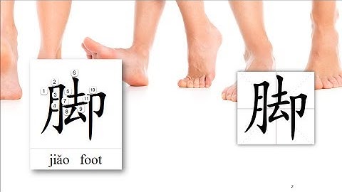 Origin of Chinese Characters - 0864 脚 腳 jiǎo foot, base - Learn Chinese with Flash Cards