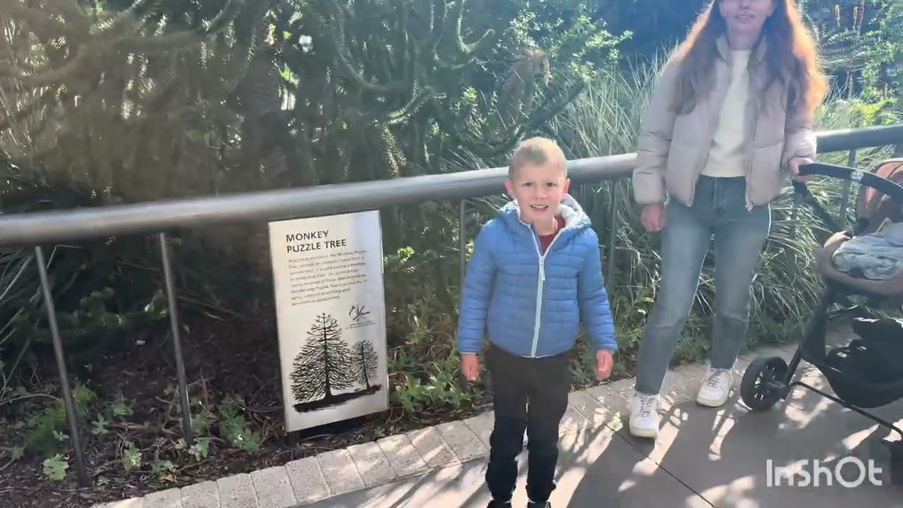 San Francisco part 2. 27.11.25