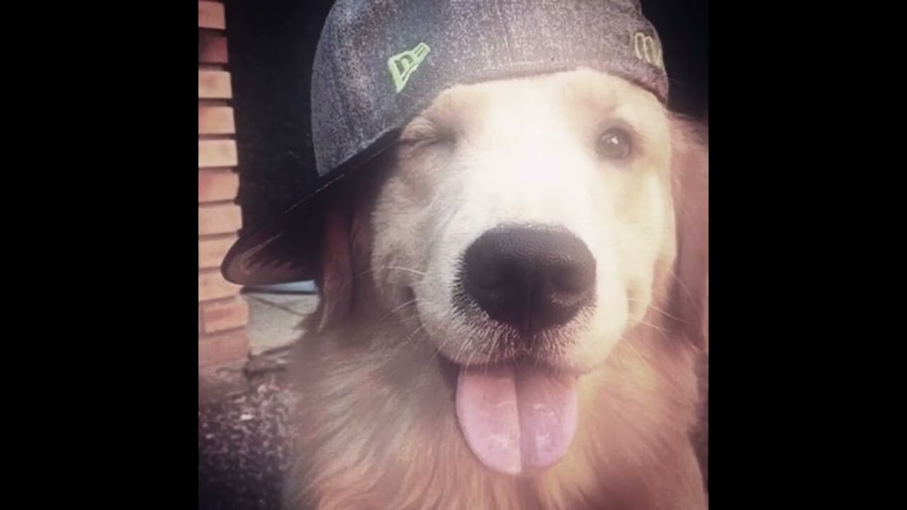 [free] lazerdim700 type beat - daaam '23 [prod. shuwwdee]