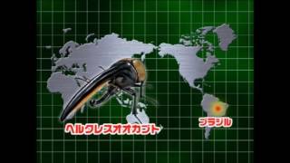 ムシキング　５周年　スーパースティング　185 ムシキング 5周年 スーパーD・H・B - メルカリ