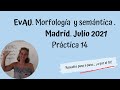 Morfología y semántica EvAU, julio 2021, Madrid. Práctica 14