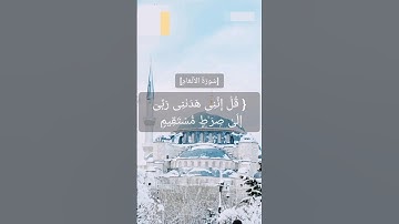 قل انني هداني ربي إلى صراط مستقيم #سورة الانعام #القارئ عمر شامي #shami1wan