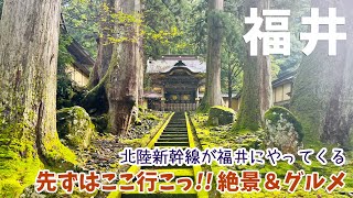 [ 福井県 1泊2日の旅 ]　#1 高速道路のSAにまで恐竜がいる福井県を満喫♪　～ 永平寺 / 名物「竹田の油揚げ」谷口屋 / 奈良の大仏よりも大きい「越前大仏」 / 大人気の福井県立恐竜博物館 ～