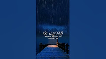سورة العنكبوت الآيتين : 57 و 58 | القارئ : عبد الرحمن مسعد 🌷
